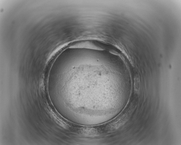 X0000087551452200705041316