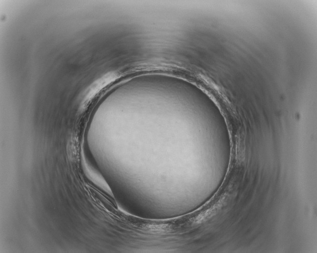 X0000087551453200705041316