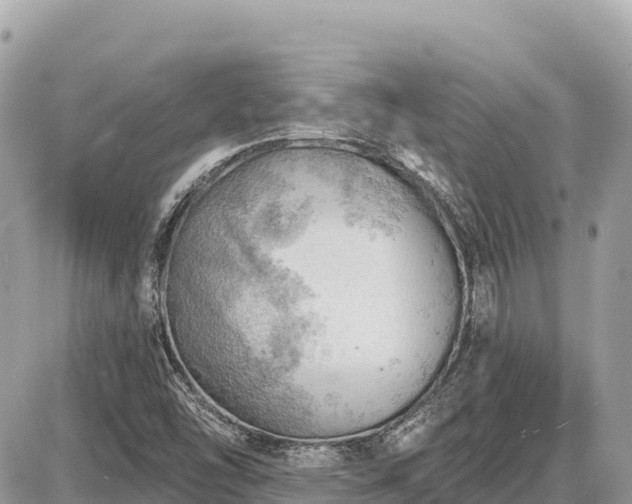 X0000087551454200705041316