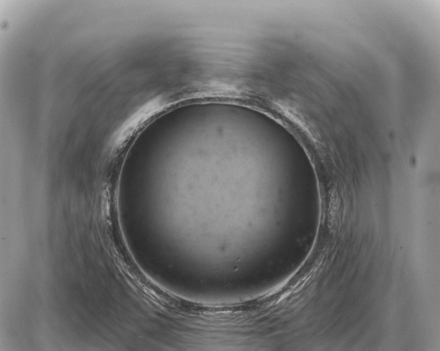 X0000087551455200705041316