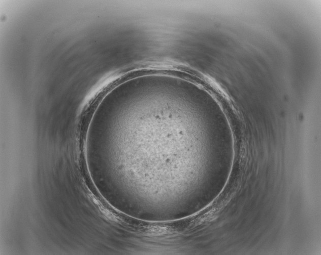 X0000087551456200705041316