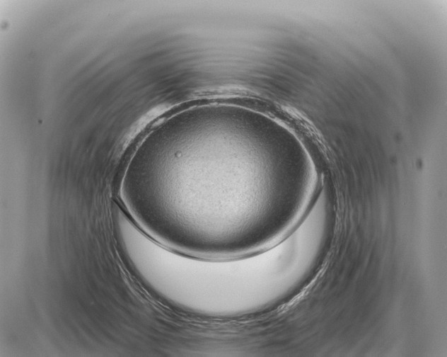 X0000087551457200705041316