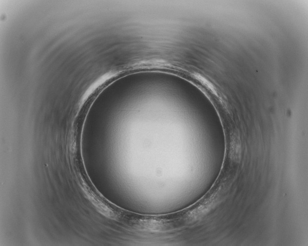 X0000087551458200705041316