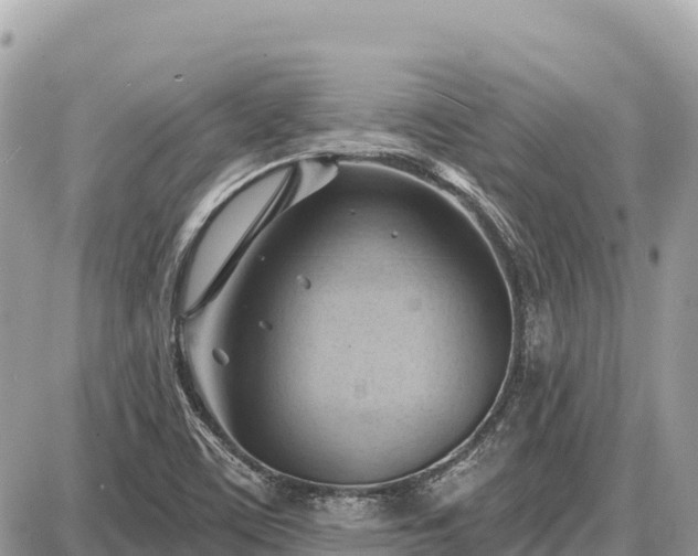 X0000087551459200705041316