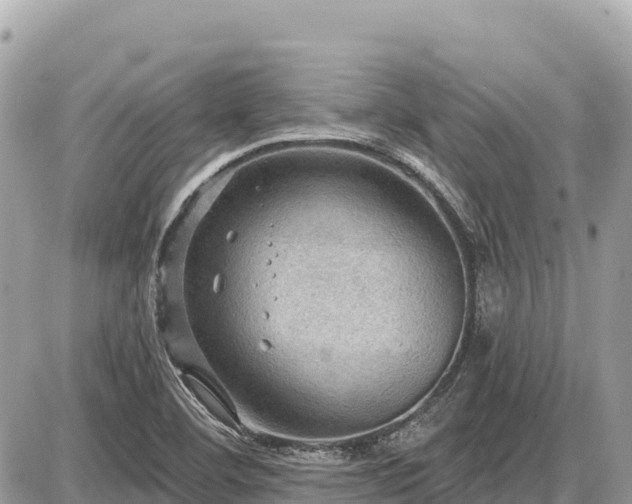 X0000087551460200705041316