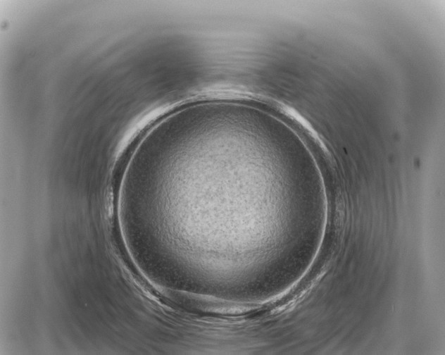 X0000087551461200705041316