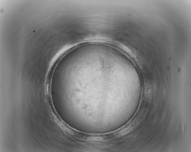 X0000087551462200705041316