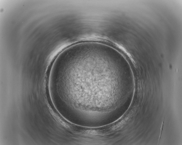 X0000087551463200705041316