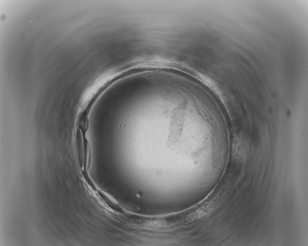 X0000087551464200705041316