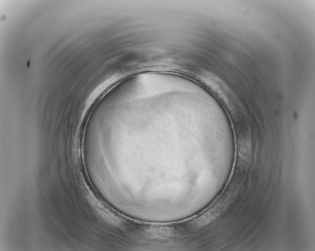 X0000087551466200705041315