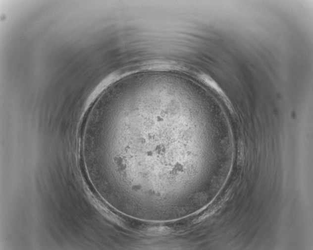 X0000087551467200705041315