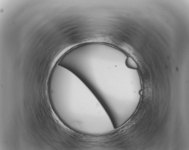 X0000087551468200705041315