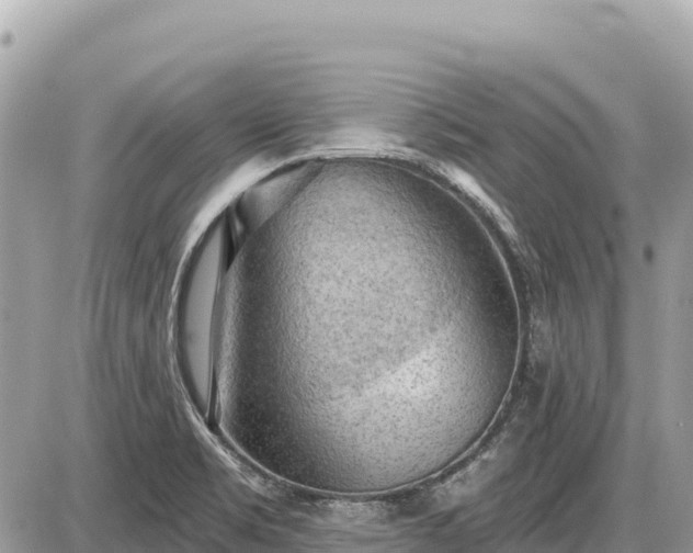 X0000087551469200705041315