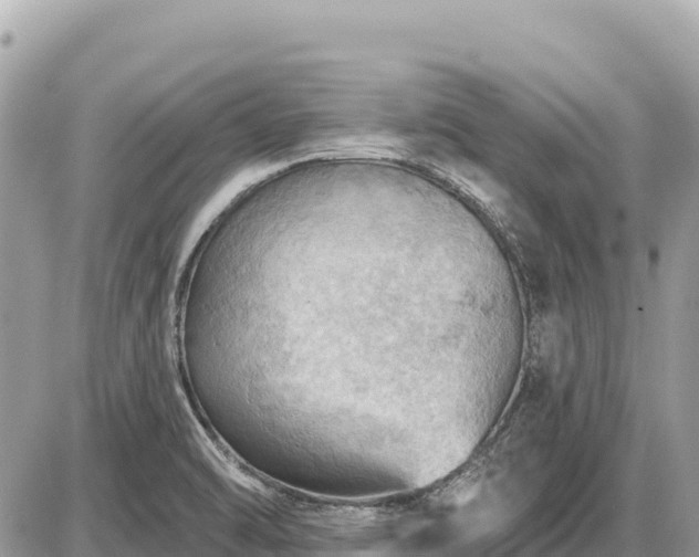 X0000087551470200705041315