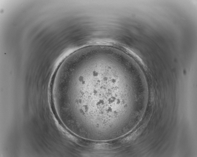 X0000087551471200705041315