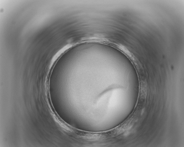 X0000087551474200705041315