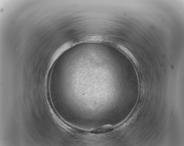 X0000087551475200705041315