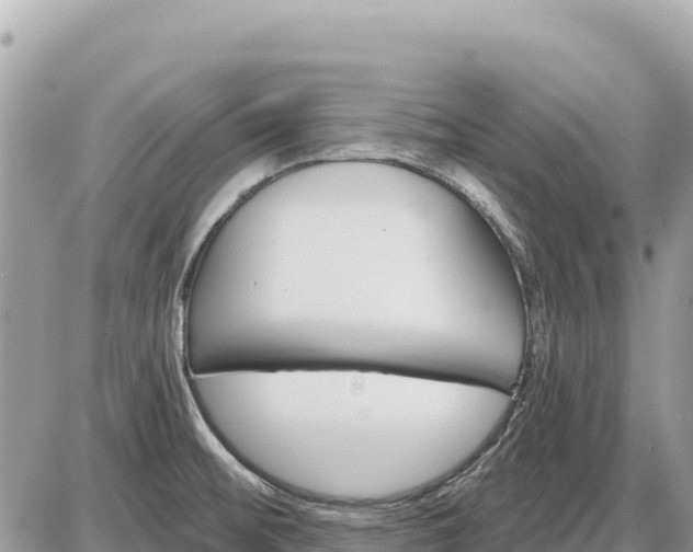 X0000087551476200705041315