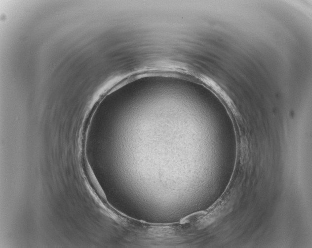 X0000087551477200705041315