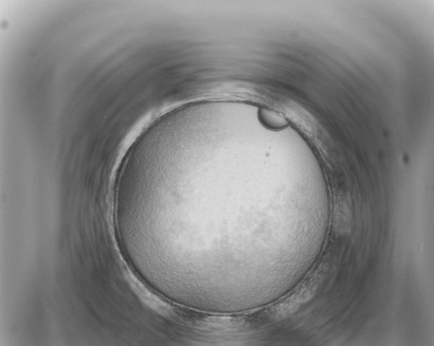 X0000087551478200705041315