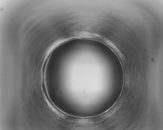 X0000087551479200705041315