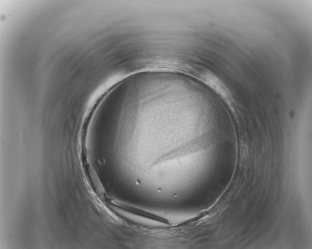 X0000087551480200705041315