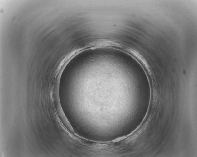 X0000087551481200705041315