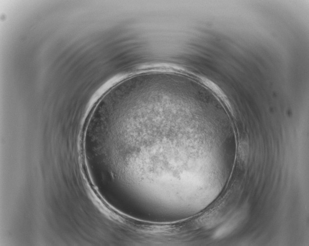 X0000087551482200705041315