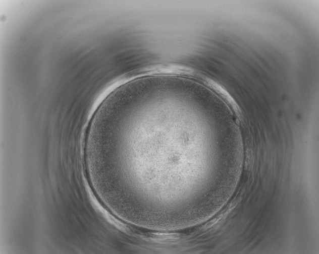 X0000087551483200705041315