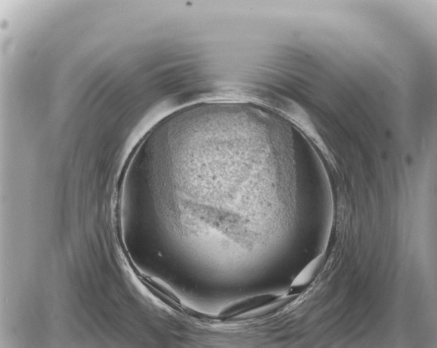 X0000087551484200705041315