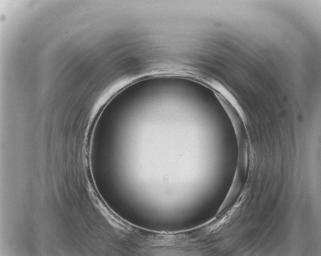 X0000087551485200705041315