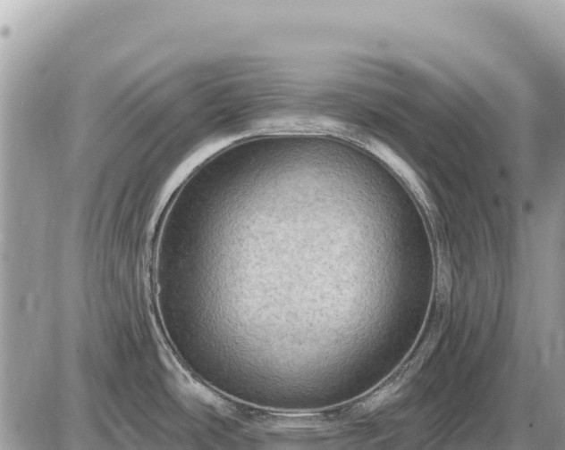 X0000087551486200705041315