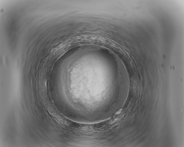 X0000087551489200705041314