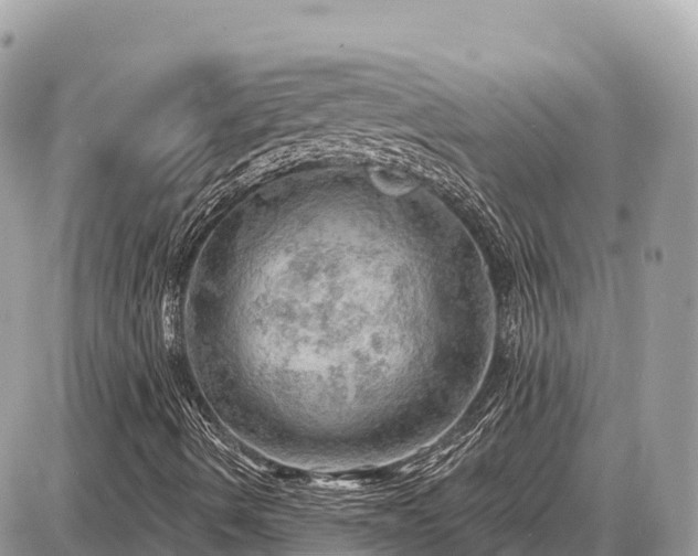 X0000087551490200705041314