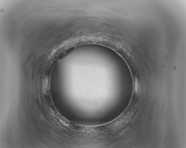 X0000087551492200705041314