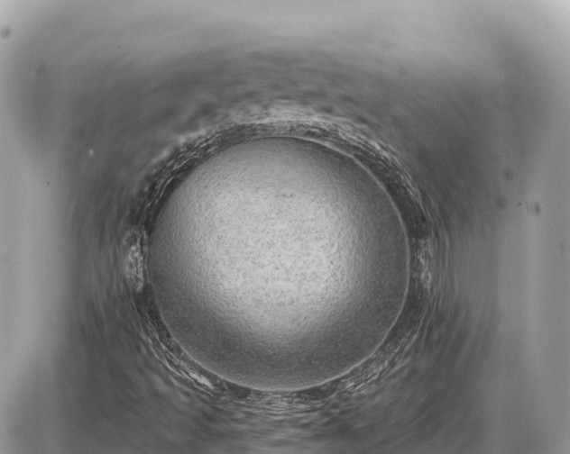 X0000087551493200705041314