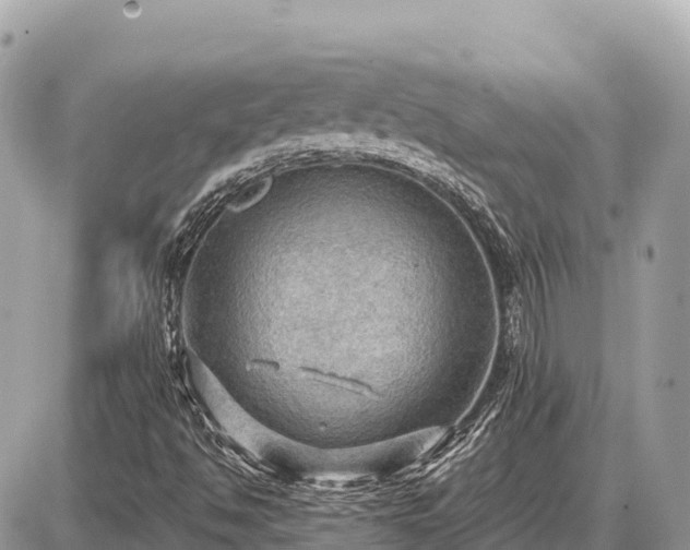 X0000087551494200705041314