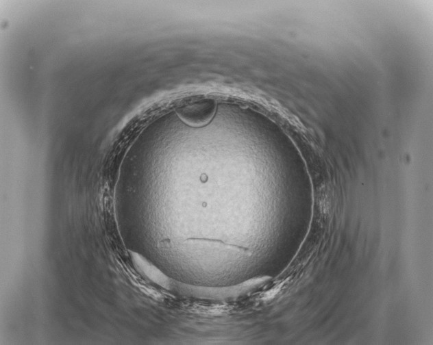 X0000087551495200705041314