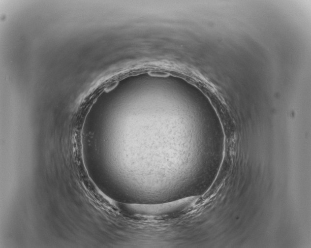 X0000087551496200705041314