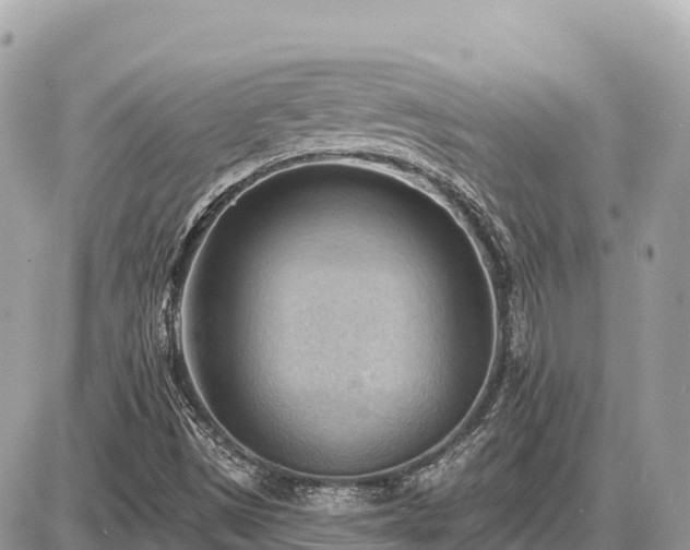 X0000087551497200705041314