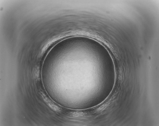 X0000087551499200705041315