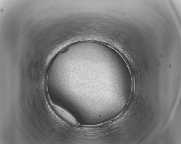 X0000087551500200705041315