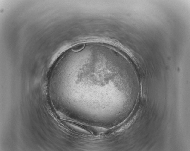 X0000087551501200705041315