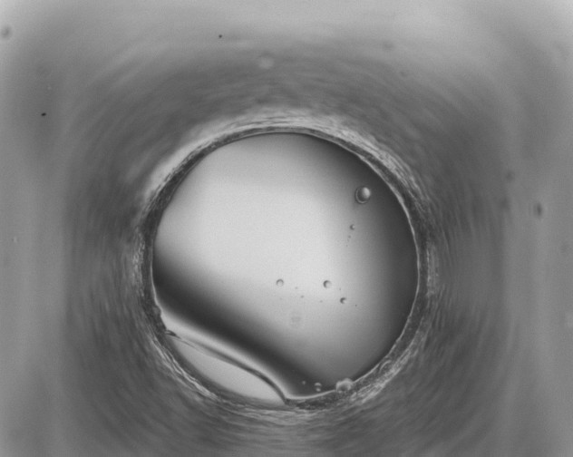 X0000087551502200705041315