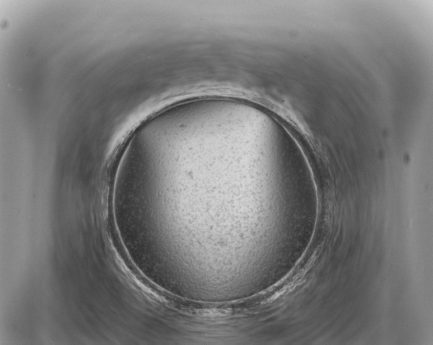 X0000087551504200705041315