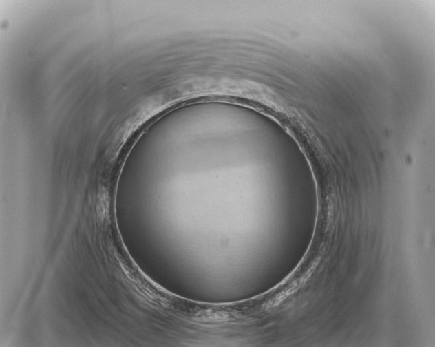 X0000087551505200705041315