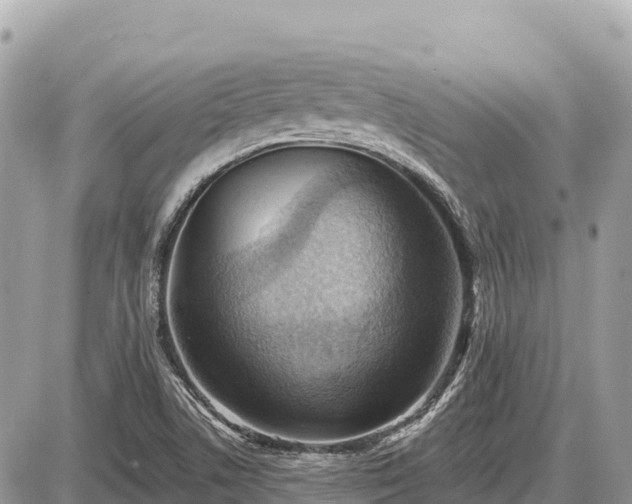 X0000087551506200705041315