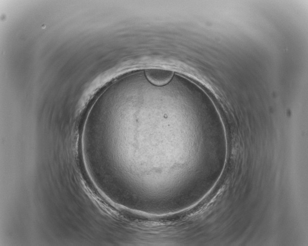 X0000087551507200705041315