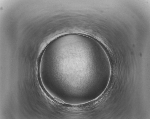 X0000087551508200705041315