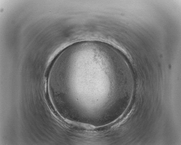 X0000087551509200705041315